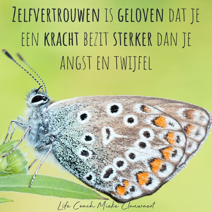 Life mindset & personal coach inspirerende quote - Zelvertrouwen